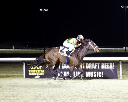 American Summer wins on debut at Turfway Park