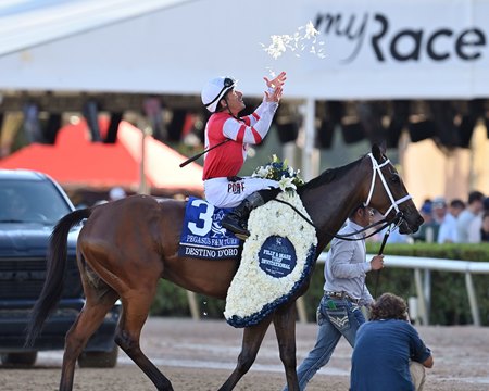 Destino d'Oro after her upset victory in the Pegasus World Cup Filly and Mare Turf Invitational Stakes at Gulfstream Park
