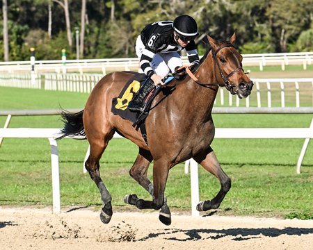 Drexel Hill wins the Wayward Lass Stakes at Tampa Bay Downs