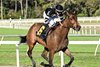 Drexel Hill wins the 2026 Wayward Lass Stakes at Tampa Bay Downs