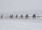 Snow, Aqueduct Racetrack, January 17 2026