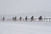 Snow, Aqueduct Racetrack, January 17 2026