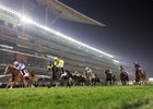 Miss Yechance wins the 2026 World Express Handicap at Meydan Racecourse