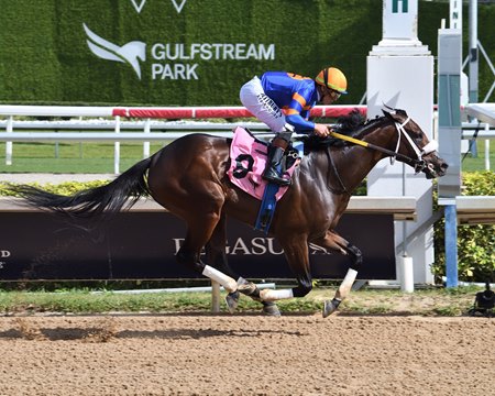 Code Review breaks his maiden Jan. 25 at Gulfstream Park.