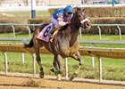Musket Man took over at the top of the lane and cruised to an impressive two-length victory in the $500,000 Illinois Derby (gr. II) April 4 at Hawthorne Park.