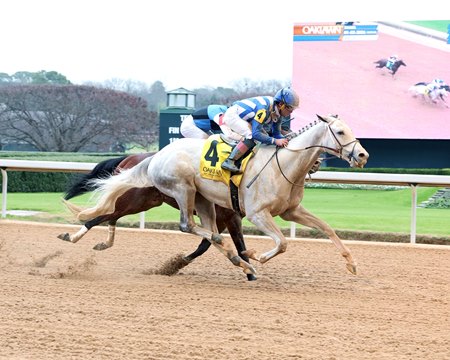 Tap Into This wins the inaugural The Coach Overnight Stakes at Oaklawn Park