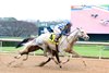 Tap Into This wins the 2026 The Coach Overnight Stakes at Oaklawn Park