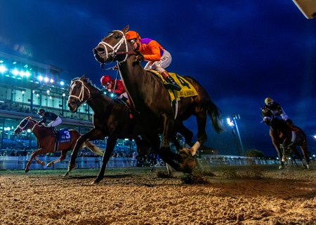 Accelerize holds sway to win the Louisiana Stakes at Fair Grounds Race Course