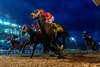 ​1/17/2026- Accelerize, with Flavien Prat aboard, wins the 80th running of the $175,000 Louisiana Stakes race at Fair Grounds Racecourse in New Orleans, LA. Hodges Photography/Amanda Hodges Weir