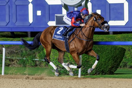 Imperial Emperor wins the Al Maktoum Challenge at Meydan Racecourse