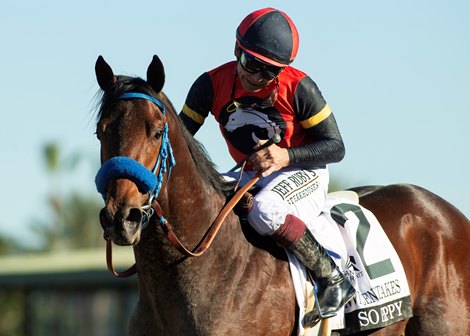So Happy Answers Distance Test in Santa Anita Derby