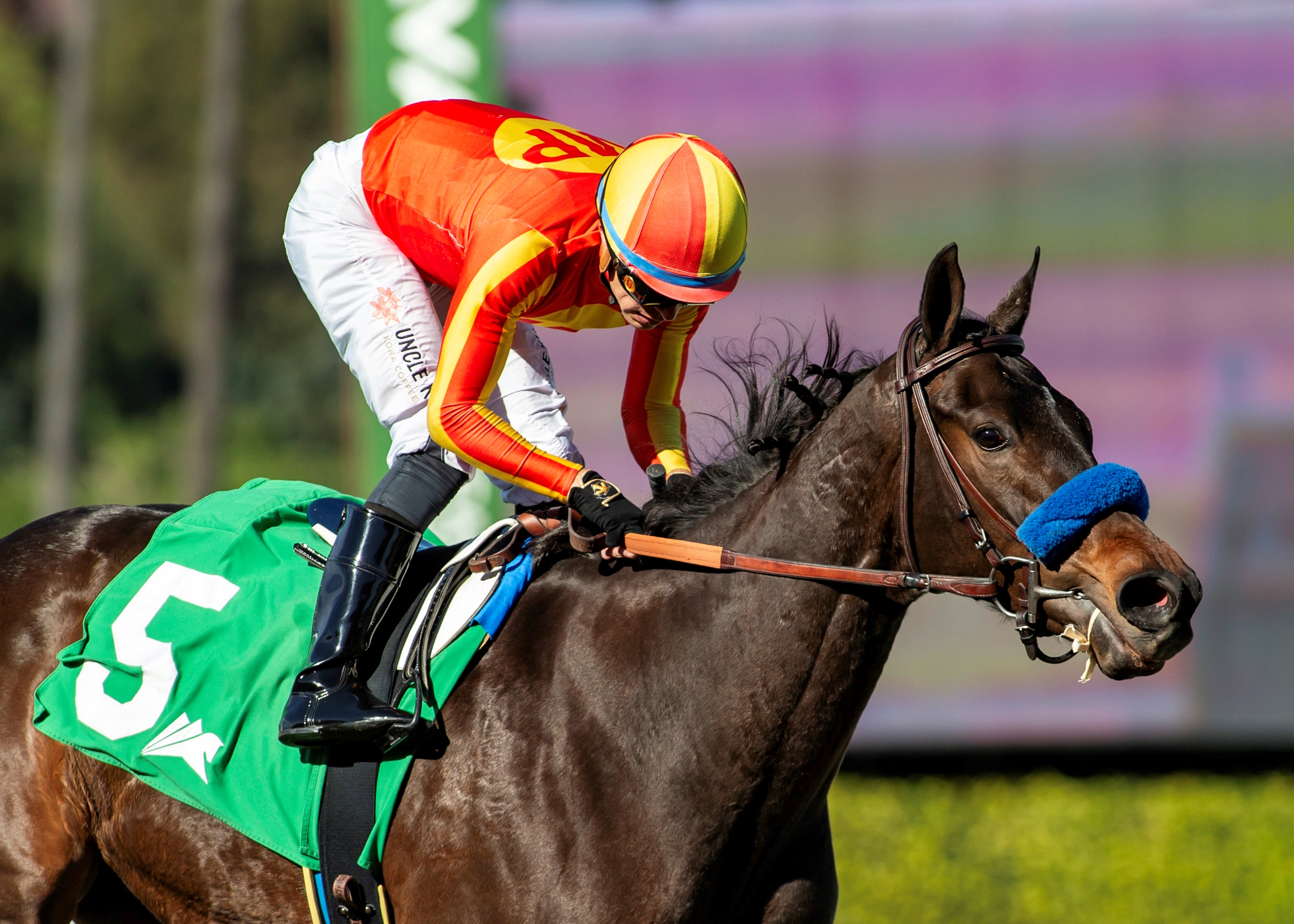 Explora Rolls to Easy Victory in Santa Ynez - BloodHorse