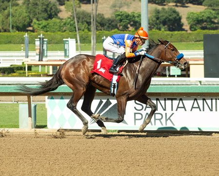 Thermal wins an allowance optional claiming race in 2025 at Santa Anita Park