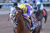 Grand Job wins the 2026 Inside Information Stakes at Gulfstream Park
Coglianese Photos/Ryan Thompson