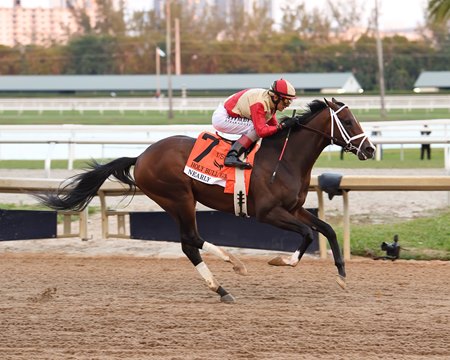 Nearly wins the Holy Bull Stakes at Gulfstream Park