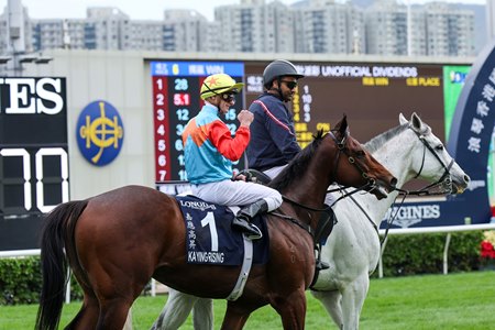 Ka Ying Rising after winning his 17th consecutive race in the Centenary Sprint Cup at Sha Tin Racecourse