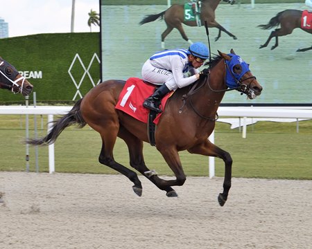 Chaos Agent breaks his maiden at Gulfstream Park