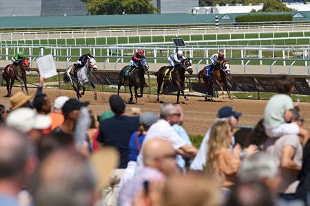 Racing at Gulfstream Park