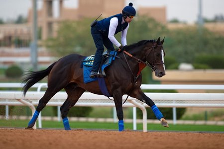 Imagination trains Feb. 6 at King Abdulaziz Racecourse