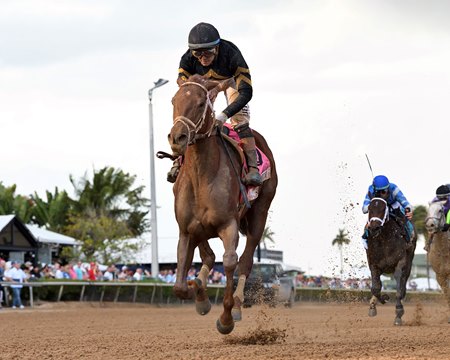 She Be Smooth wins the Davona Dale Stakes at Gulfstream Park