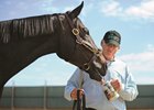 Zenyatta licks an empty cup from trainer John Shirreffs at Hollywood Park.