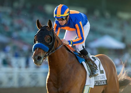 Plutarch wins the Robert B. Lewis Stakes at Santa Anita Park