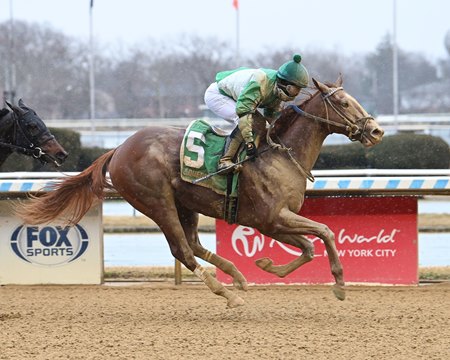 Right to Party breaks his maiden at Aqueduct Racetrack