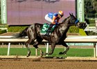 By Talla Racing's Splendora and jockey Juan Hernandez make easy work of the Grade II $200,000 D. Wayne Lukas Stakes Saturday February 7, 2026 at Santa Anita Park, Arcadia, CA.  The 5-year-old Maryland-bred daughter of Audible is trained by Bob Baffert.
Benoit Photo