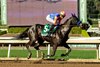 By Talla Racing's Splendora and jockey Juan Hernandez make easy work of the Grade II $200,000 D. Wayne Lukas Stakes Saturday February 7, 2026 at Santa Anita Park, Arcadia, CA.  The 5-year-old Maryland-bred daughter of Audible is trained by Bob Baffert.
Benoit Photo
