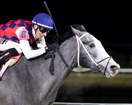Great White wins the John Battaglia Memorial at Turfway Park