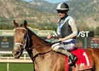 Meaning and jockey Flavien Prat win the $100,000 Las Virgenes Stakes, Sunday, February 8, 2026 at Santa Anita Park, Arcadia CA.
© BENOIT PHOTO