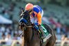 By Talla Racing's Splendora and jockey Juan Hernandez make easy work of the Grade II $200,000 D. Wayne Lukas Stakes Saturday February 7, 2026 at Santa Anita Park, Arcadia, CA.  The 5-year-old Maryland-bred daughter of Audible is trained by Bob Baffert.
Benoit Photo