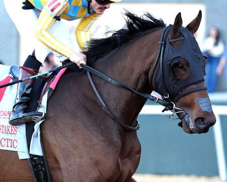Silent Tactic wins the Southwest Stakes at Oaklawn Park
