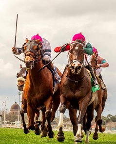 Mondogetsbuckets (left) finishes a close second to fellow Kentucky Downs Turf Sprint Stakes entrant Usually Wrong in the Colonel Power Stakes at Fair Grounds Race Course