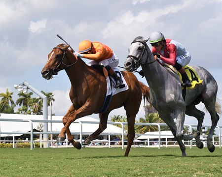 Vasy outruns Honey Dutch in the Colonel Liam Stakes at Gulfstream Park