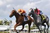 Vasy wins the 2026 Colonel Liam Stakes at Gulfstream Park