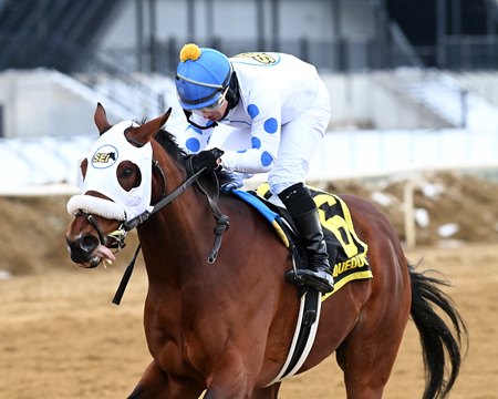Modernist's Talk to Me Jimmy wins the Withers Stakes at Aqueduct Racetrack