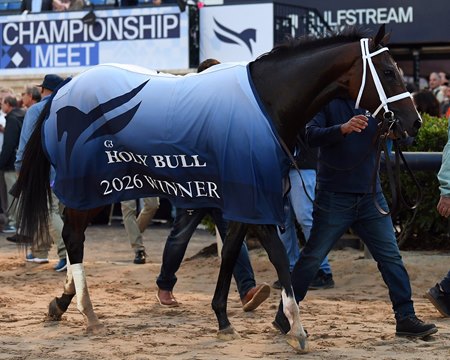 Nearly after winning the Holy Bull Stakes at Gulfstream Park