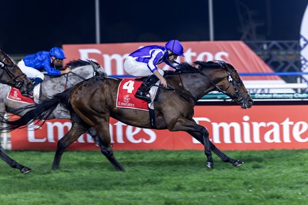 Title Role defeats Pacific Avenue (inside) in the Jumeirah Two Thousand Guineas at Meydan Racecourse