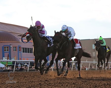 Pavlovian (L) wins the Sunland Park Derby by a nose over Express Kid at Sunland Park