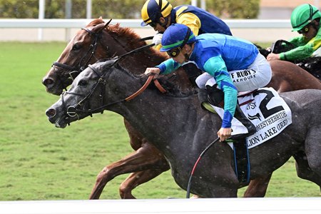 Lion Lake (inside) wins the Herecomesthebride Stakes at Gulfstream Park