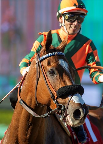Thought Process Crowned With a Grade 1 in Gamely