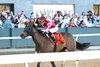 Nitrogen wins the 2026 Bayakoa Stakes at Oaklawn Park