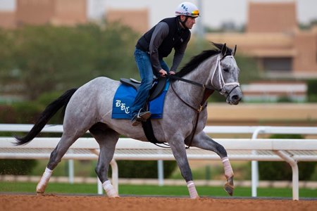 Jerome Stakes winner and Saudi Derby entrant My World gallops at King Abdulaziz Racecourse