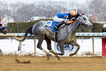 Scalable, under Kendrick Carmouche, sails to victory in the Ladies Stakes at Aqueduct Racetrack