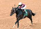 Magnitude wins the 2026 Razorback Handicap at Oaklawn Park