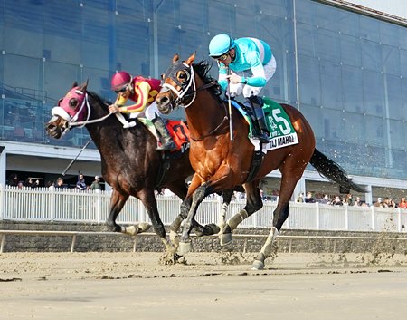 Taj Mahal (inside) wins the Miracle Wood Stakes at Laurel Park