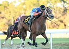 Renegade wins the 2026 Sam F. Davis Stakes at Tampa Bay Downs