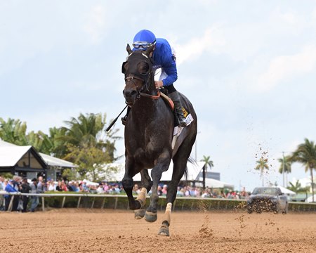 Knightsbridge wins the Gulfstream Park Mile Stakes at Gulfstream Park