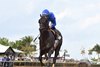 Knightsbridge wins the 2026 Gulfstream Park Mile Stakes at Gulfstream Park